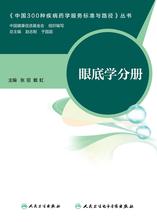 中国300种疾病药学服务标准与路径——眼底学分册