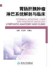 胃肠肝胰肿瘤淋巴系统解剖与临床
