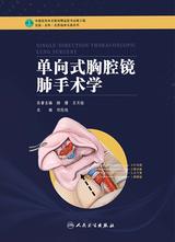 单向式胸腔镜肺手术学