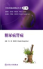 中医药临床循证丛书——糖尿病肾病 中医药临床循证丛书——糖尿病肾病