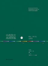 中药饮片高清图鉴．中册