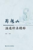 郑魁山温通针法精粹