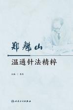 郑魁山温通针法精粹