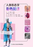 人体形态学彩色图谱