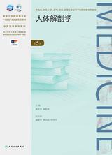 人体解剖学（第5版）