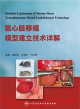 鼠心脏移植模型建立技术详解